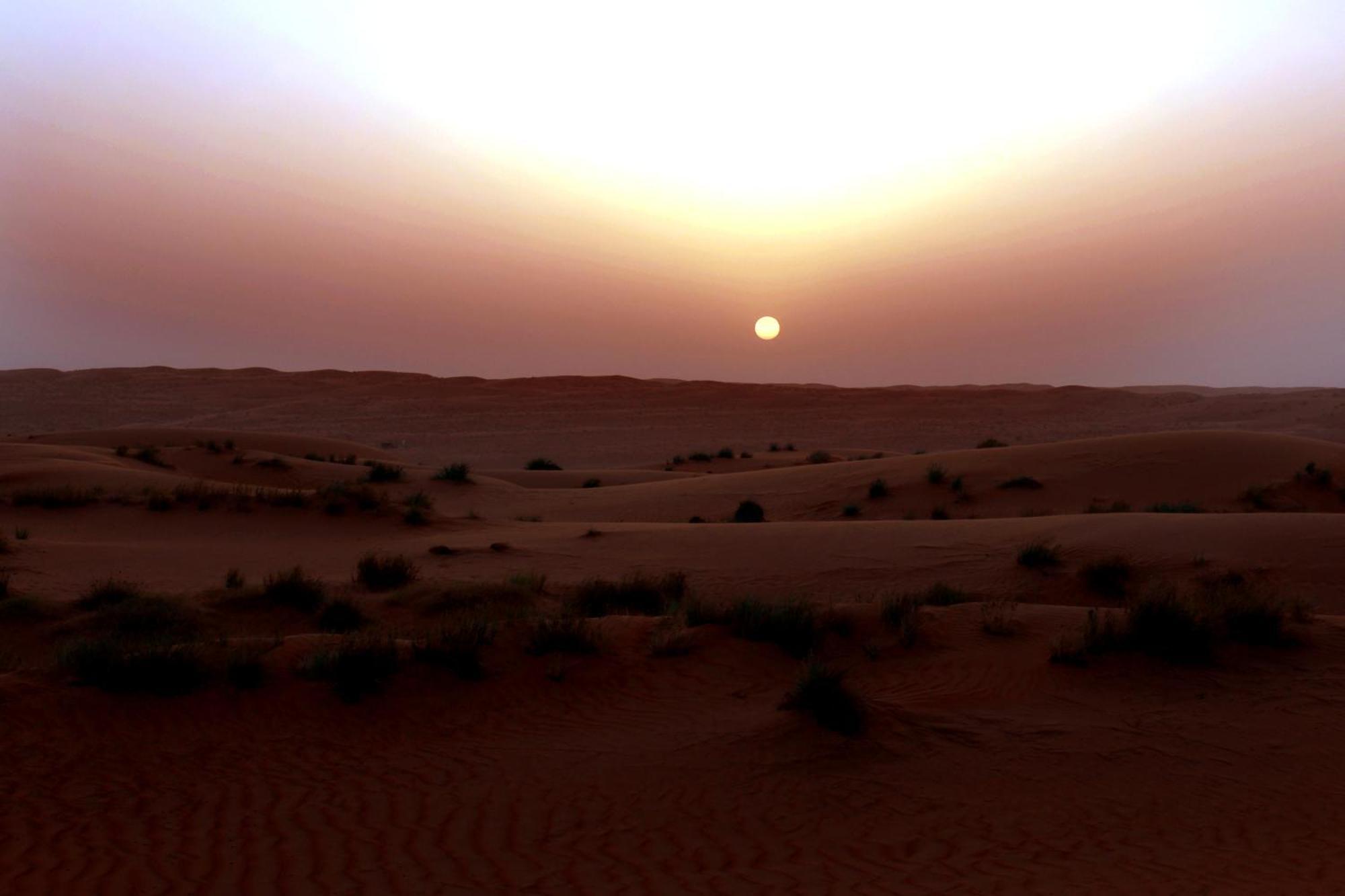 Sand Delight Camp Al Wāşil Extérieur photo