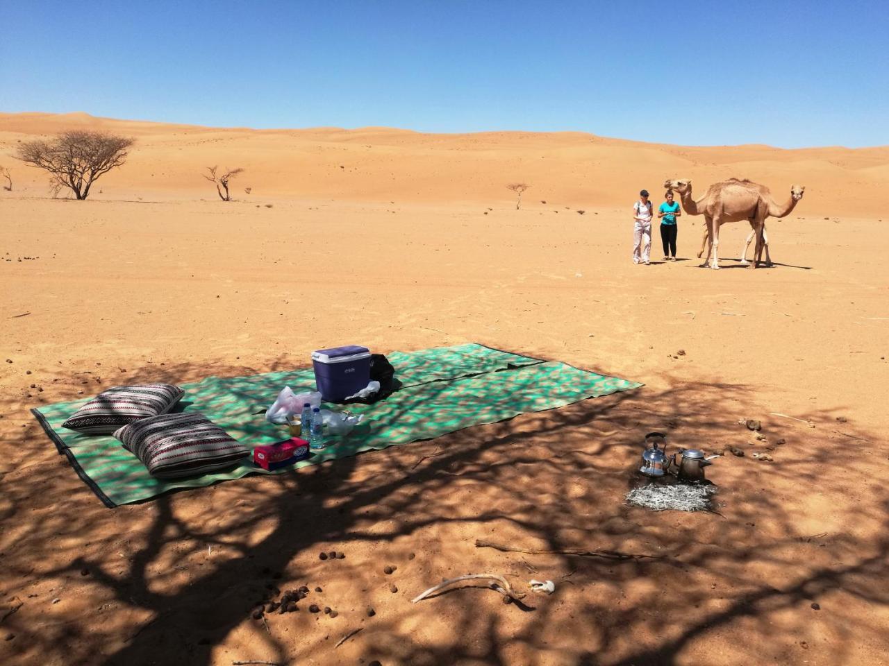 Sand Delight Camp Al Wāşil Extérieur photo
